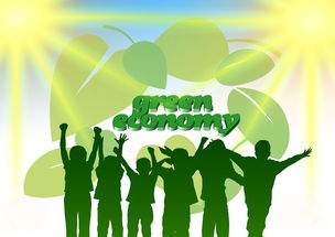 开云体育app入口-青年选手成长路径日益明确，青年成长成才计划