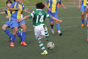 开云在线入口-五大联赛解说风格影响观赛体验满意度,五大联赛的风格与特点